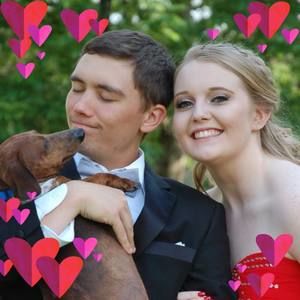 Meet your Posher, Austin